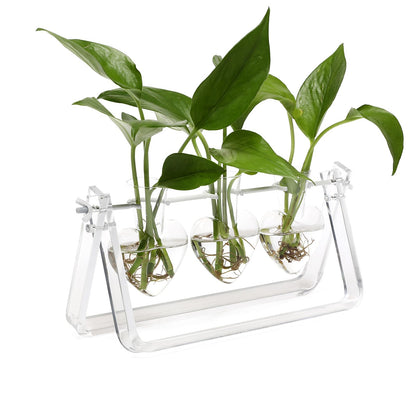 CYZglass Clear Plant Terrarium Propagation Stations with Acrylic Stand Birthday Gifts for Women Office Home Decor