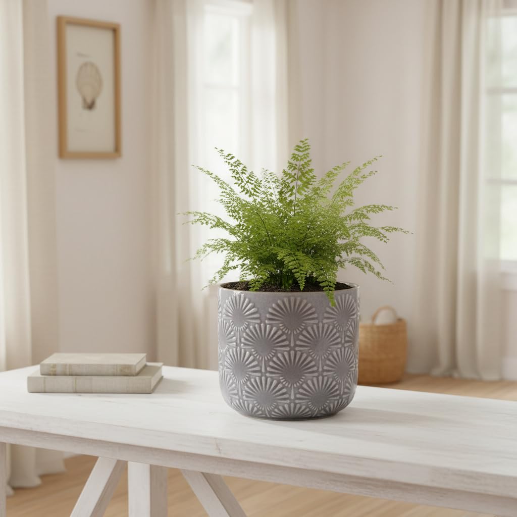 Xiaan Jiaju Modern Embossed Ceramic Pots for Plants, 6.7 Inch Nordic Plant Pots Indoor with Drainage, Contemporary Decorative Glazed Planter with Fanburst Texture, Warm Greige
