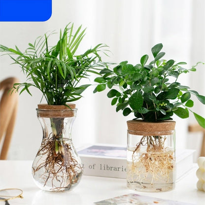 Transparent Hydroponic Flower Pot Creative Mini Terrarium Glass Vase Soilless Green Plant Potted Home Decoration for Table Centerpiece Wedding Home Decor(8.5 * 12cm)