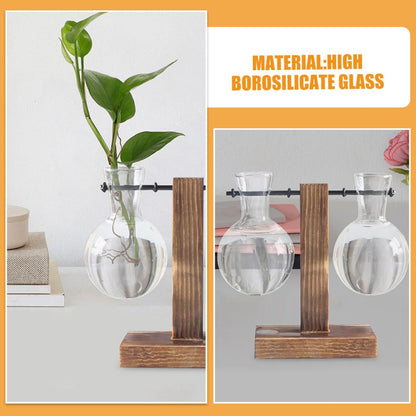Mobestech 3pcs Hydroponic Glass Vase Base Clear Borosilicate Plant Propagation for Flowers and Terrariums and Stylish Desktop Decoration
