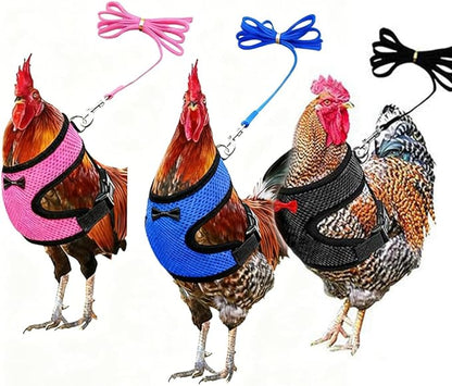 Chicken Harness and Leash Set Adjustable Mesh Breathable Duck Training Harness Pets Leashs for Goose Hen Rooster Parrots Dog Kitten, Black L
