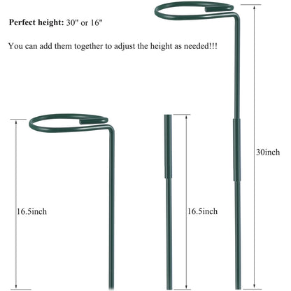 Plant Stake Support - 6 Pack Adjustable Height 16" or 30", Garden Support Stake Plant Cage Support Rings, Single Stem Plant Support Stakes, for Flowers Amaryllis Tomatoes Peony Lily Rose (30inch)