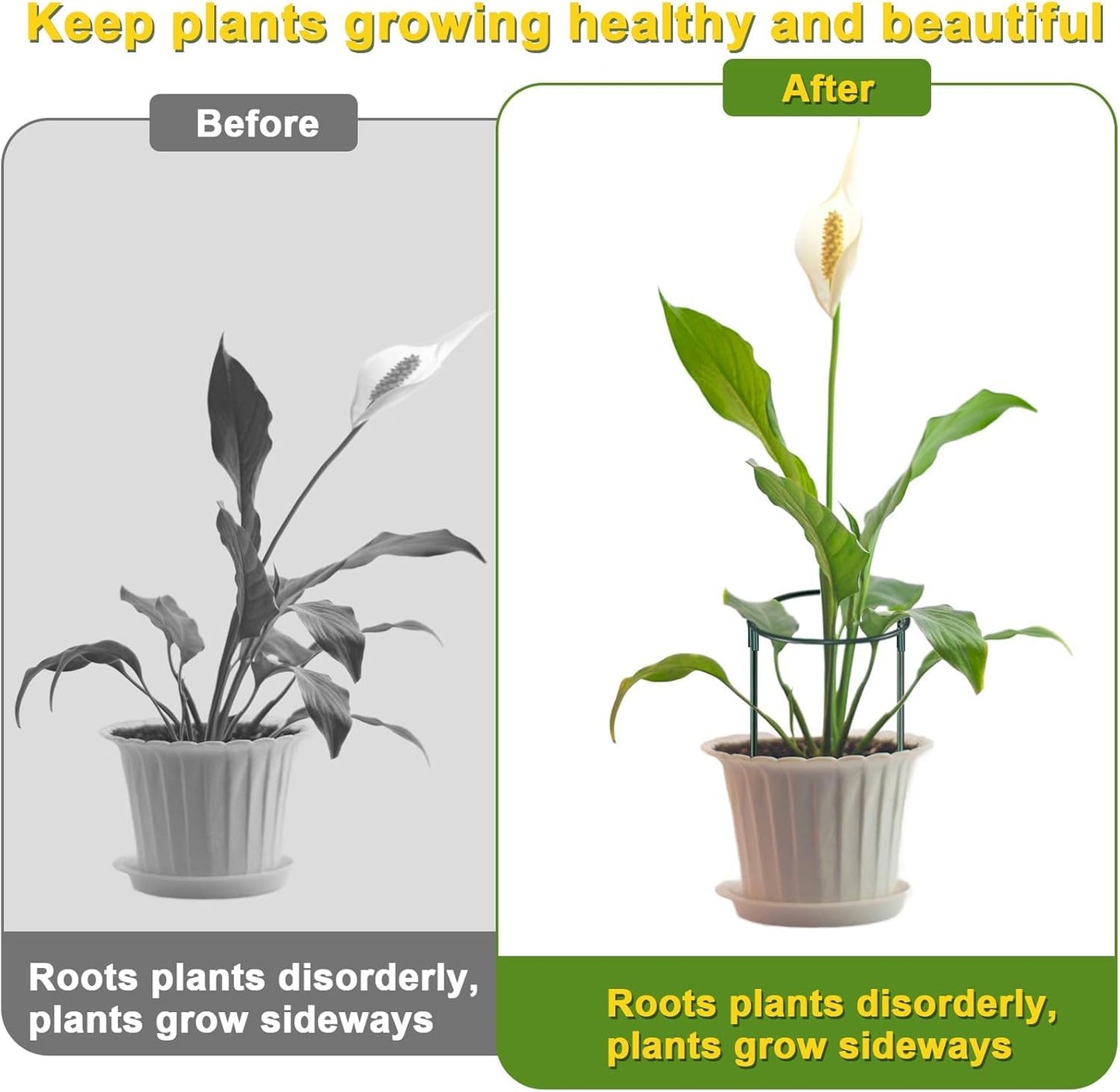 HiGift 4 Pack Height Adjustable Metal Plant Support (36" H or 24" H or 12" H), Heavy Duty Peony Cages and Supports, Half Round Tall Plant Support Ring for Outdoor Indoor Plant Hydrangea Flower