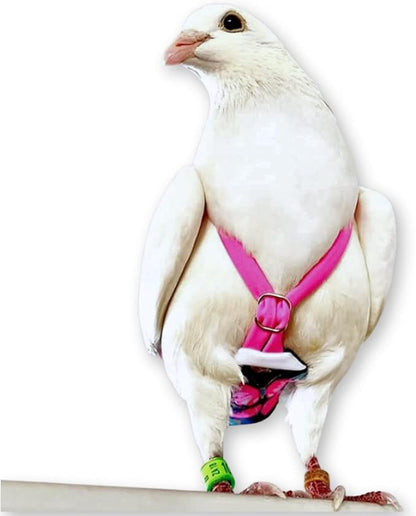 FLYPER Adjustable Mini Bird Diaper | Reusable, Washable Cloth | Comfort Fit for Parrots, Cockatiels, and Other Small Birds | Fashionable Avian Accessories Butterfly, Butterfly Bonanza, Size 4