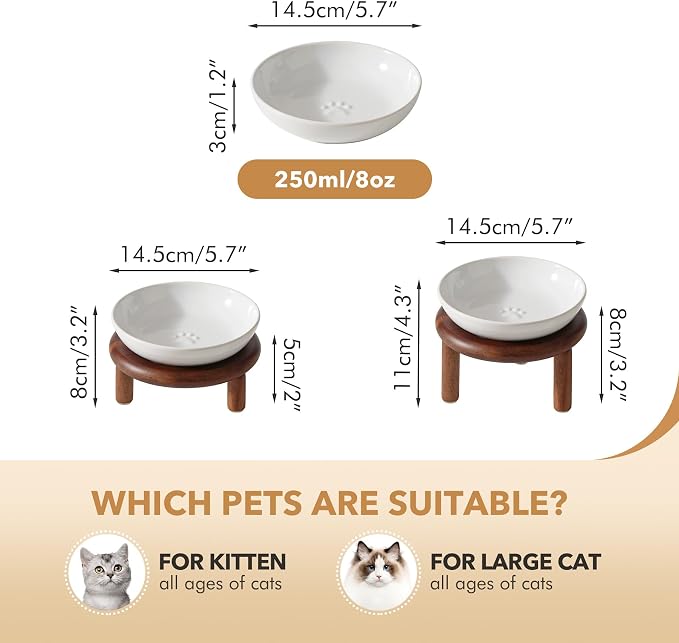 Havniva Elevated Cat Bowls Raised Ceramic Cat Bowl, 5.7” Wide Opening Cat Food Bowl Whisker Friendly Cat Dish Anti-Slip with Wood Stand, Shallow Pet Food & Water Bowl for Indoor Cats