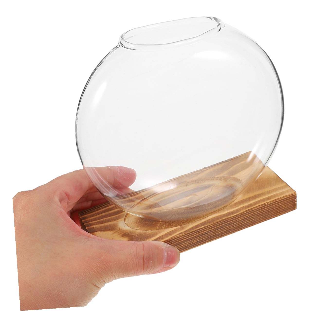 HOODANCOS 2Pcs Hydroponic Glass Vases with Wooden Base for Plant Propagation and Root Observation, Plant Terrarium Containers for Home Office Balcony Décor