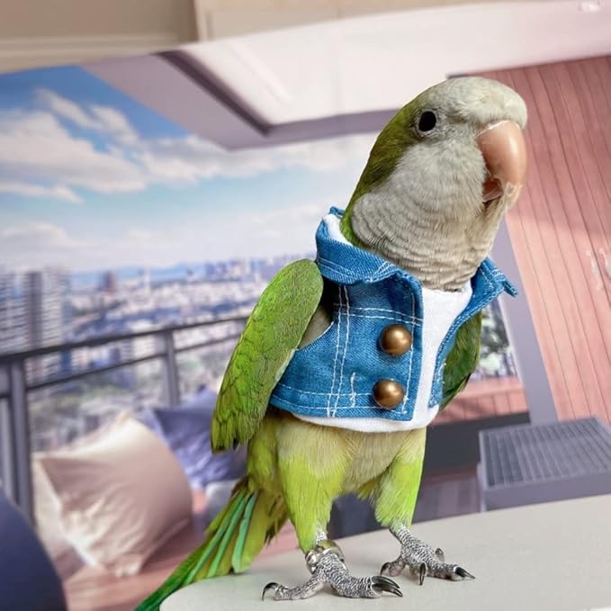 Bird Costume Bird Diaper Flight Suit Bird Jeans Fake Two Pieces Bird Clothes Cosplay Photo Prop for Parrots Lovebird Parakeet Cockatiel Small Animals Apparel (Without Diaper,Eclectus)