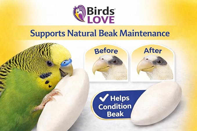 Birds LOVE 7.5-8" Cuttlebone for Birds – 100% Natural Sun-Dried Calcium Carbonate Mineral Supplement – for Parakeets, Budgies, Cockatiels, Finches & Canaries – 2 Pack with Holder – Made in Vietnam