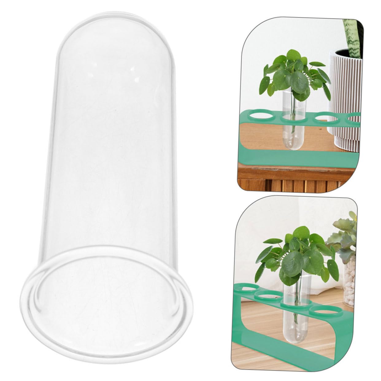 BESPORTBLE 5pcs Glass Test Tube Vases Set Hydroponic Plant Vase for Balcony Flower Preservation Plant Terrarium Indoor Planter