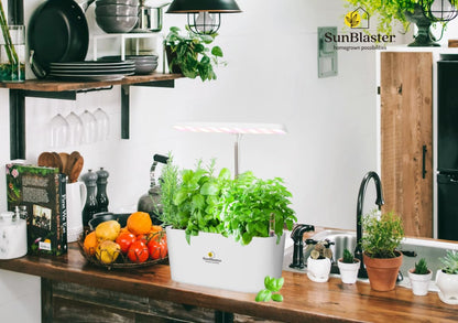 SunBlaster Nano Growlight Garden, Indoor Herb Garden and Countertop Planter with Passive Hydroponic System, Dimmable LED Light, Timer, and Gaia Green All Purpose Fertilizer (LED)