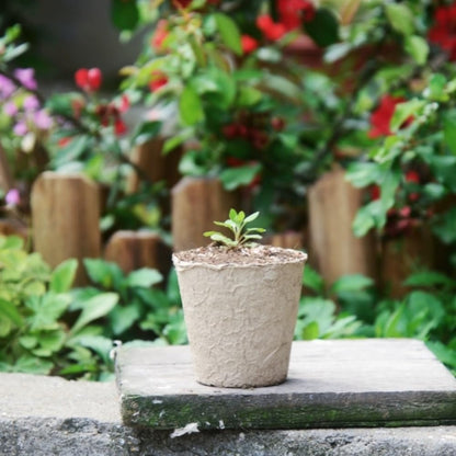 GardEasy 120PCS 3.15 Inch Peat Pots for Seedling, Outdoor Garden Germination Nursery Peat Pots Plants with Bonus 20 Plant Labels