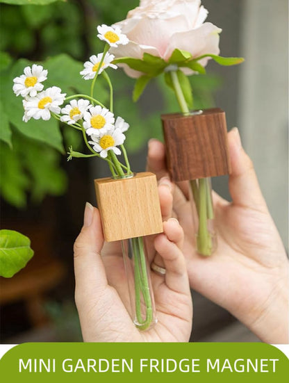 NUOLUTH 6PCS Mini Plant Propagation Station Set - Glass Test Tube Vases with Magnet and Adhesive Backed Wooden Holders for Window, Fridge, Wall, Office, Kitchen Decor, Home Plant Display