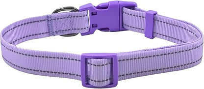 Dog Collar Leash Set, with Relfective Strips, Lilac Purple, Large. | Adjustable Collar,5 ft Matching Leash,Neoprene Padded Handle.