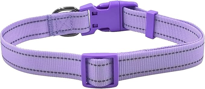 Dog Collar Leash Set,with Relfective Strips,Lilac Purple,Small. | Adjustable Collar,5 ft Matching Leash,Neoprene Padded Handle.