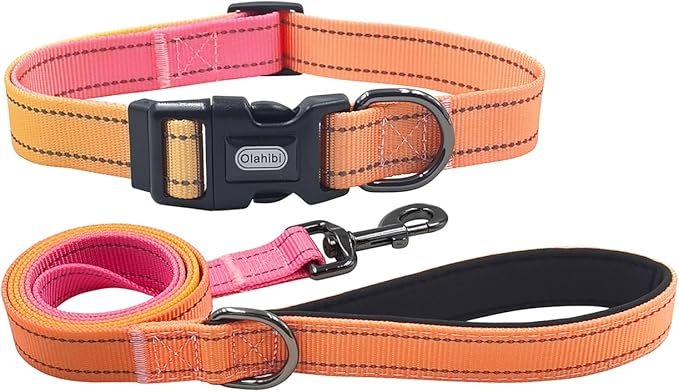 Dog Collar Leash Set, Gradient Color, with Safety Reflective Strips, 5 ft Matching Leash, Neoprene Padded Handle, Adjustable 4 Sizes for Small Medium Large Dogs.(M, Orange Pink)