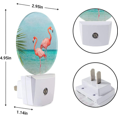 EKOBLA Meditation Plug-in Night Light, Bamboo & Zen Stone Oriental LED Nightlight with Auto On/Off