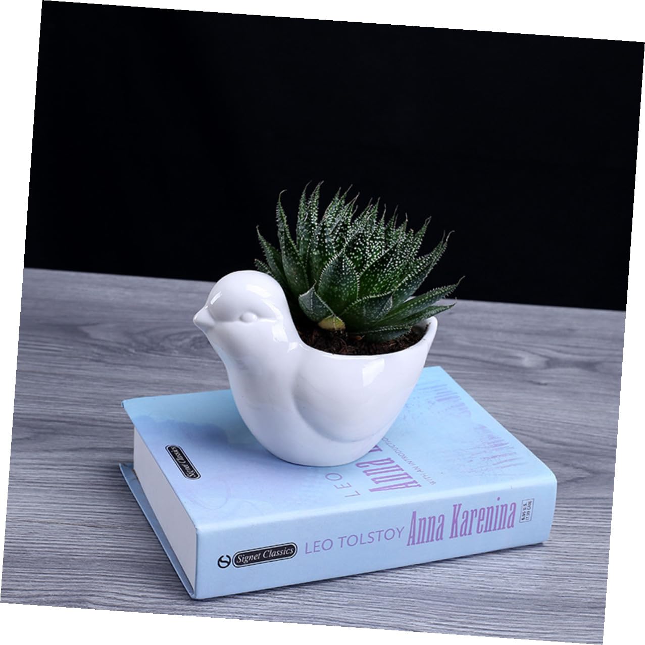 LALAFINA Ceramic Succulent Plant Container Bird Shape Large White Flower Pot with Saucer Indoor Desktop Planter for Home Garden Decor
