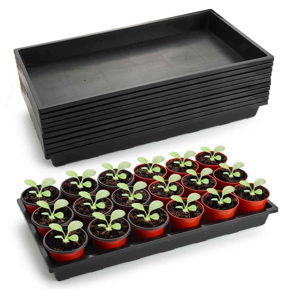 RooTrimmer 1020 Flat Seed Starter Trays 10 Pack, Plastic Nursery Pots Trays & Seeds Potting Plants Tray, Durable Carrying Seedling Starting Tray for Planting (Black)
