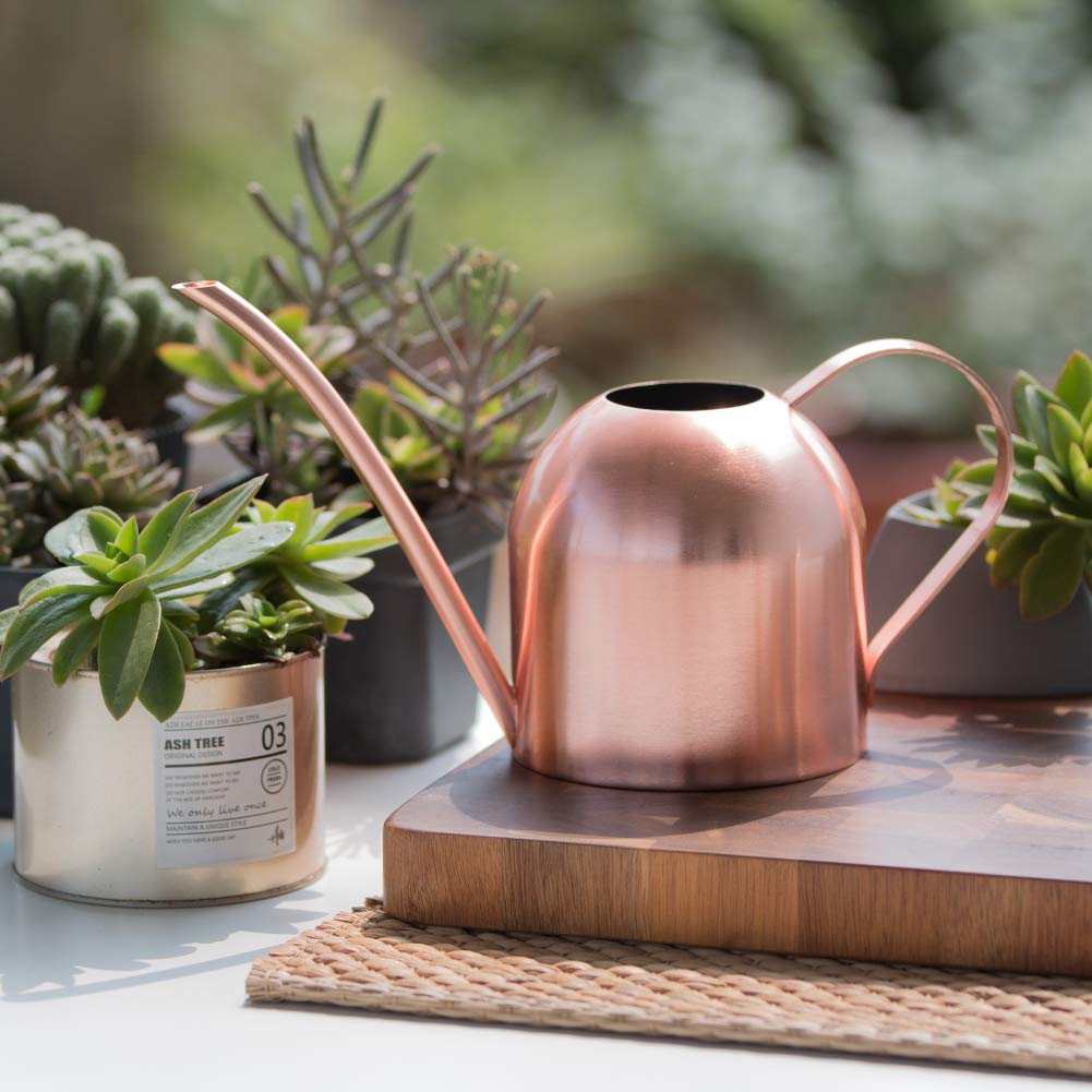 E.Palace Small Watering Can Indoor Plants Metal Watering Cans 15oz Capacity Cute Design for House Plants & Gardens (Rose Gold 15 oz)