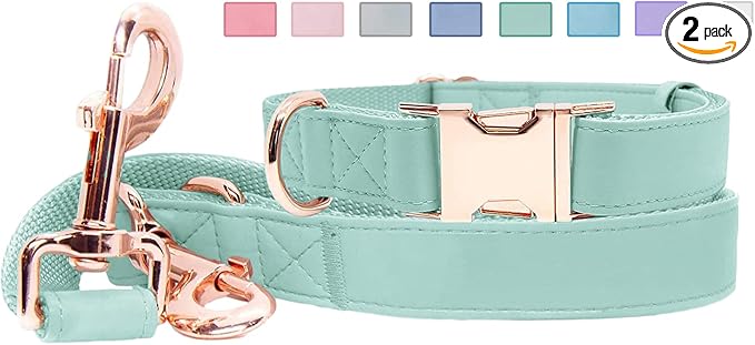 Soft Leather Dog Collar and Leash (6.6') Set - Stylish Rose Gold Heavy Duty Metal Buckle, 4 Adjustable Lengths Leash for Small Medium Large Dogs - Comfortable & Easy to Clean Mint Green XS(8"-12")