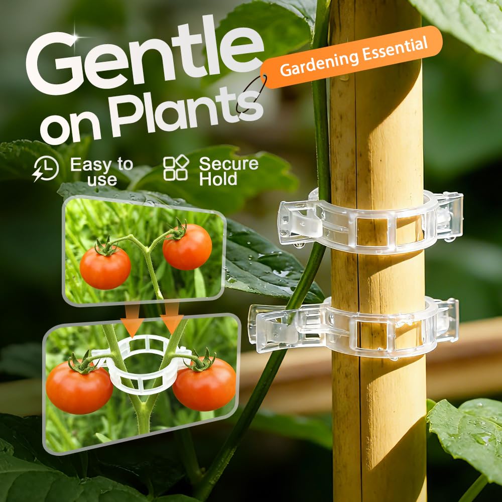 DSACL Plant Support Clips, 2026 Upgraded Tomato Plant Clips for Climbing Plants, Reusable Plastic Garden Clip for Grape Cucumber Stems Outdoor Vine Fixing Clip Gardening Supplies (50, Green)
