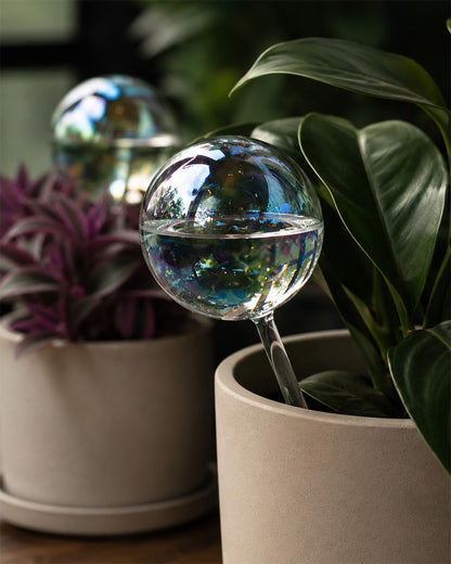 2Pack Iridescent Glass Self Watering Globes for Plants, 14 fl oz Automatic Plant Watering Bulbs Decorative Glass Plant Waterer