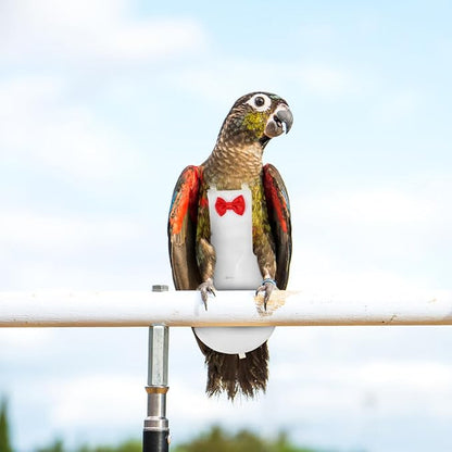 Generic Bird Diaper for Parrots Breathable Costume for Cockatiels Pigeons and Parakeets Washable Reusable Nappy Clothes for Birds