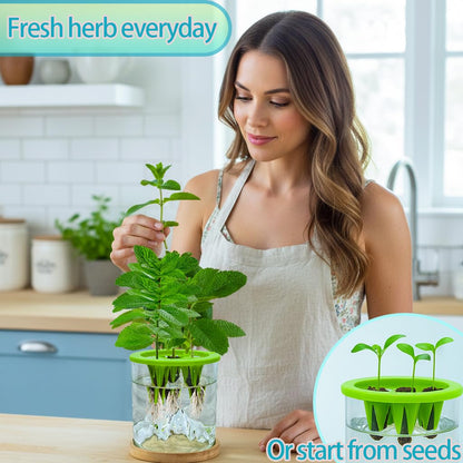 Plant Terrarium Kit, Christmas Birthday Gift for Gardener Women Mom Garden Lover | Home Office Decor