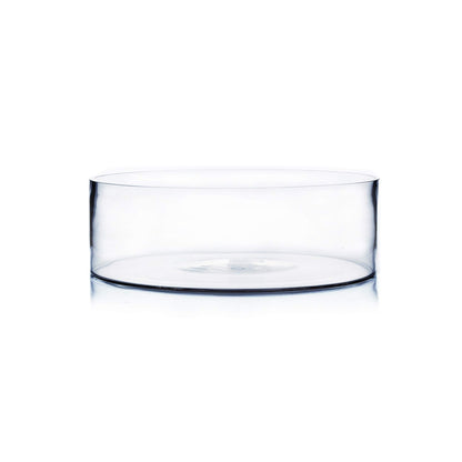 WGV Cylinder Vase, Open Width 12", Height 4", Clear Flat Pan Style Container, Planter Terrarium, Floral Centerpiece for Wedding Party Event, Home Office Decor, 1 Piece