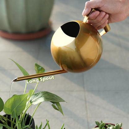 Chemlliy Watering Can with Long Spout and Comfortable Handle, 35 oz/1000ml Small Watering Can for Indoor Plants, Stainless Steel Garden Watering Pot for Indoor House Plants Bonsai Flower Decorative