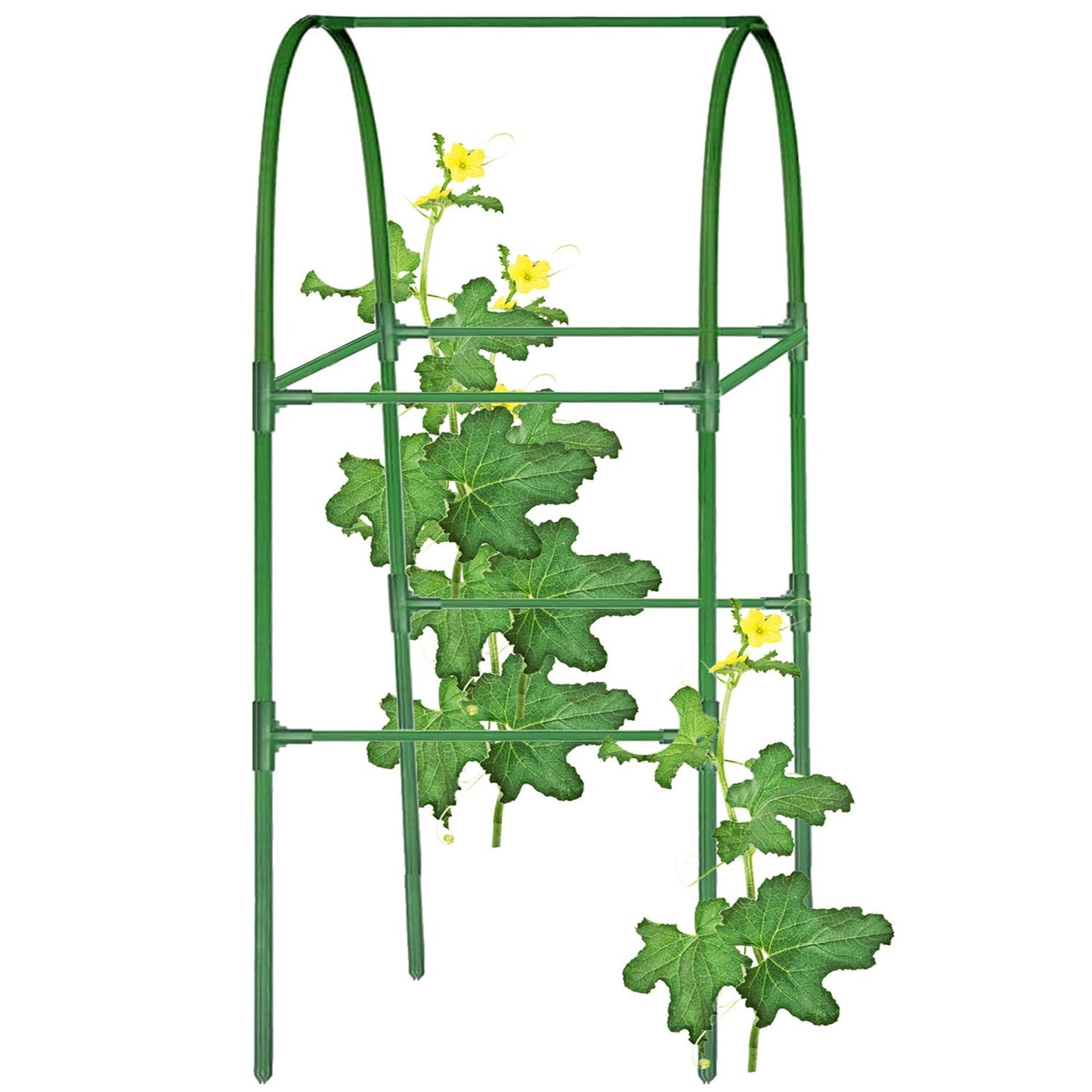 Cucumber Trellis for Plant Climbing- Cucumebr Arch Trelli for Flower Vine Vegetable Tomato Cage Raised Bed- Foldable Garden Tunnel Trellis