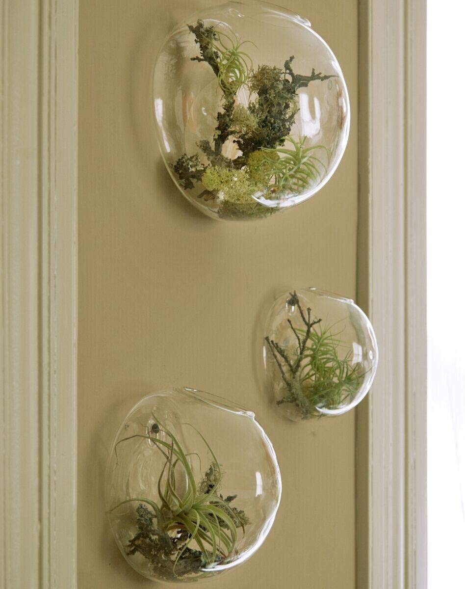 Ecosides Set of 3 Wall Hanging Planter Wall Hanging Bubble Glass Terrarium Wall Mount Vase for Indoor Planter Air Plant Glass Terrarium Flower Vase Wall Bowl(Oblique Opening)