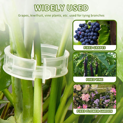 200Pcs Secured Plastic Plant Clips, New Combinable Plant Support Clips, Plant Clips for Climbing Plants, Tomato Grape Vine Vegetables Fixing Clips, Plant Clips for Trellis & Peony Cages