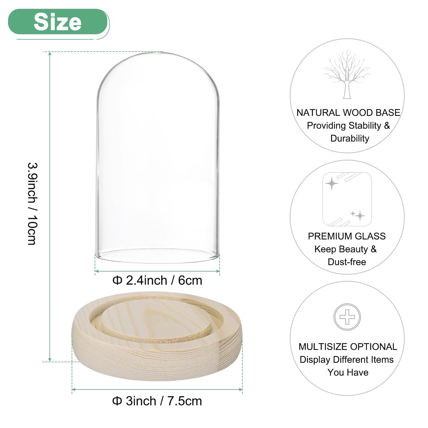 M METERXITY Cloche Glass Dome, 3.9"x2.4" Glass Display Case with Wooden Base for DIY Snow Globes/Small Plants/Flowers/Candles/Models/Souvenirs, Tabletop Centerpiece [Wood]