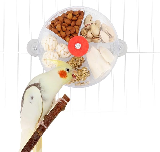 Bird Creative Foraging System Wheel Seed Food Ball Rotate Training Toy for Small and Medium Parrots Parakeet Cockatiel Conure (Clear)