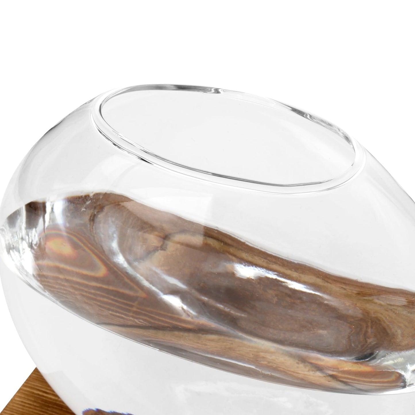 HAKZEON 4 Pack Desktop Round Glass Planter Hydroponics Vase, Glass Planter Terrarium Flower Vase with Wooden Stand, Propagated Plant Jars for Plants, Flower, Home Office Desktop Decor
