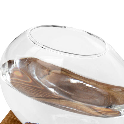 HAKZEON 4 Pack Desktop Round Glass Planter Hydroponics Vase, Glass Planter Terrarium Flower Vase with Wooden Stand, Propagated Plant Jars for Plants, Flower, Home Office Desktop Decor