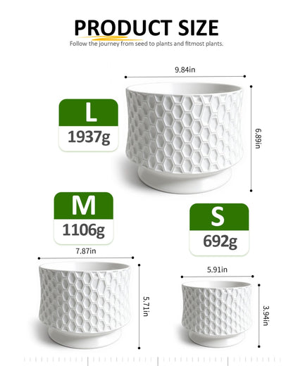 OXART 10/8/6 Ceramic Pots for Plants with Drainage, 3 Piece Large Plant Pot, Planters for Indoor Plants, Home Garden Flower Pot for Cacti, Pothos, Snakes, and Succulents, White