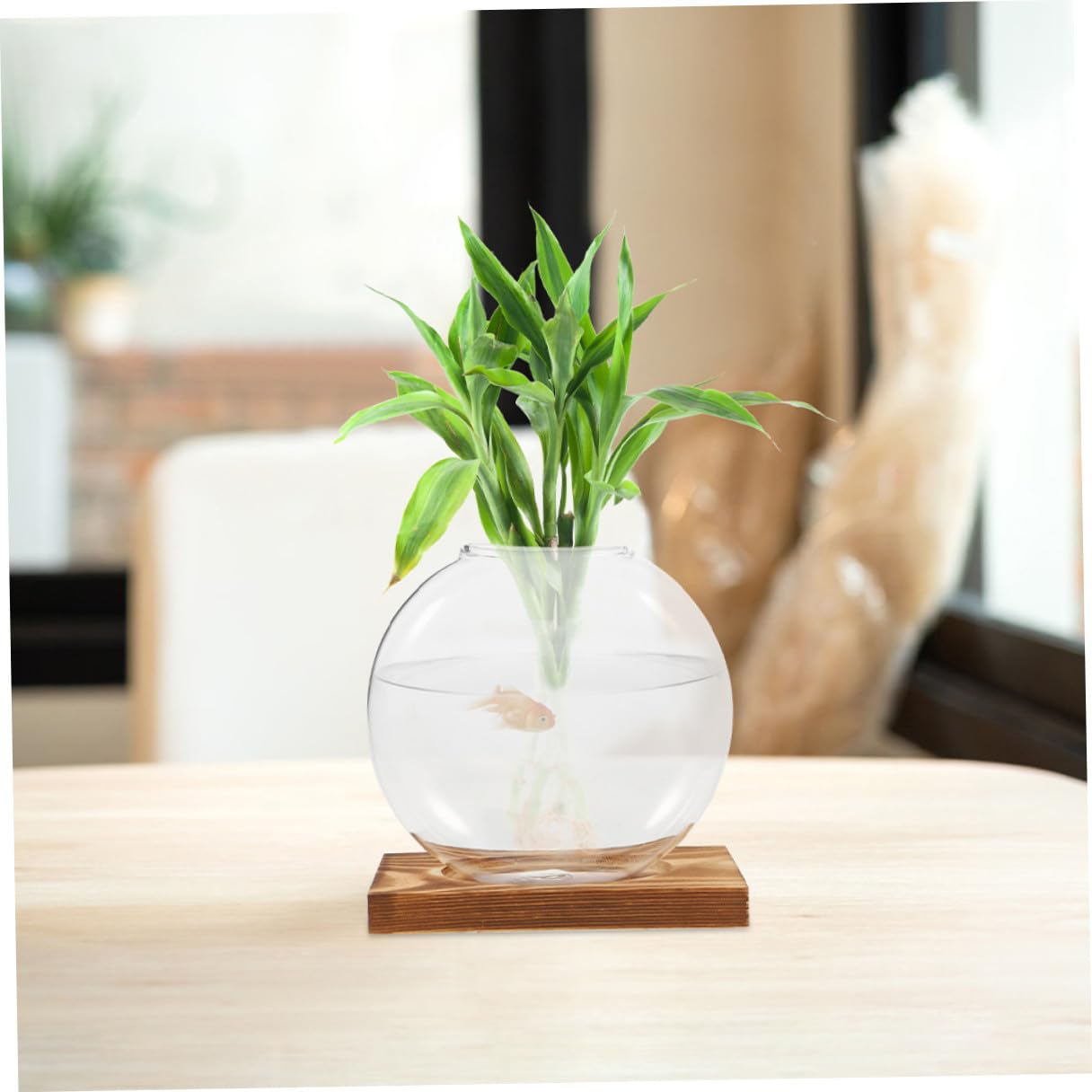NULYLU 2Pcs Glass Plant Propagation Vases with Wooden Base, Hydroponic Terrarium Containers for Indoor Plants, Desktop Flower Vase Decor for Home and Office
