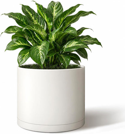Giraffe Creation 10-Inch Round Cylinder Plant Pot, Modern Indoor/Outdoor Planter with Drainage Hole, Saucer & Water Reservoir, White