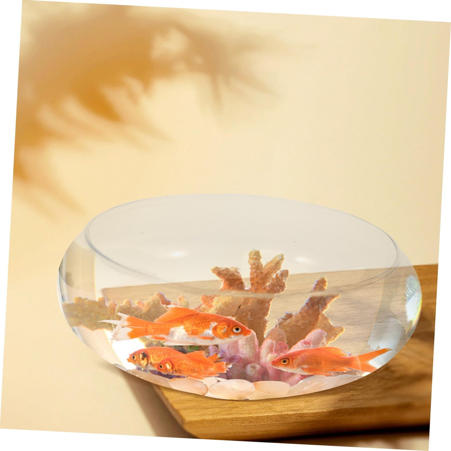 Mikikit Fish Bowl Glass Aquarium Tank Clear Desktop Fish Tank for Small Hydroponic Plant Pot Glass Design for Decor