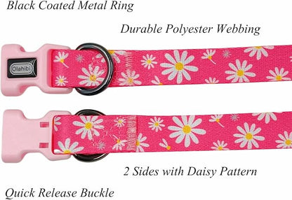 Dog Collar Leash Set, Floral Pattern, Polyester Material, Adjustable Collar and 5ft Matching Leash, for Medium Dogs.(M, Pink Daisy)