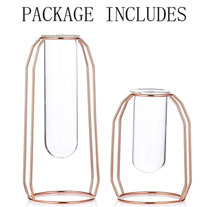 Vases Set of 2 Glass Vases with Metal Frame, Modern Rose Gold Frame Cylinder Clear Vase Planter Terrariums, Flower Holder Decorations for Wedding Living Room, Office, Party (Rose Gold, S+L)