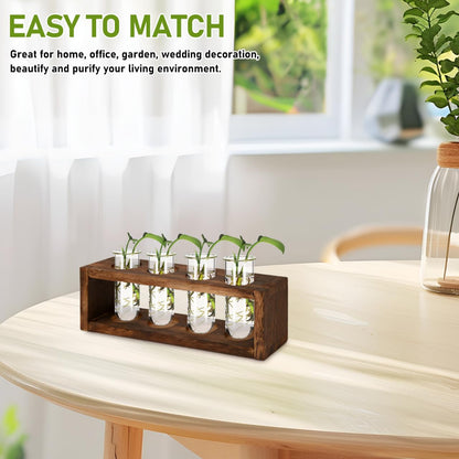 POPETPOP Plant Propagation Tubes 4pcs Glass Test Tube Vase Replacement Clear Hydroponic Flowers Vase for Home Office Desktop Decoration