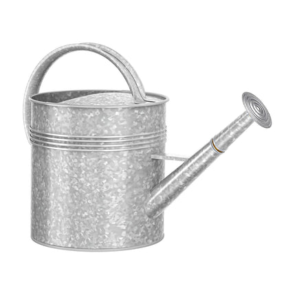Galvanized Iron Watering Can for Indoor Plants, Oval Watering Cans for House Plant Garden Flower, Long Spout Water Can for Outdoor Watering Plants 9.46L 2.5 Gallon