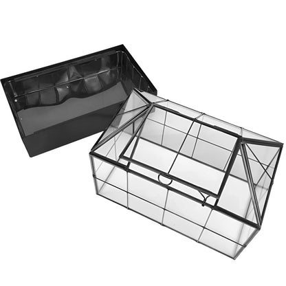 YIMORENCE V Large Tall Plant Terrarium Glass Greenhouse with Lid and Tray, Indoor Tabletop Orchid Succulent Cacti Kit 9.5'X9.8'X5.6'