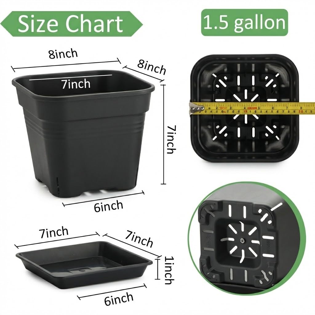 8 Inch Square Plastic Planter Pot- 6 Pack Heavy Duty Planters with Trays, 24 Strip Drainage Holes for Root Aeration & Prevention of Root Rot, Raised Bottom Airflow Center, BPA-Free Black Flower Pots