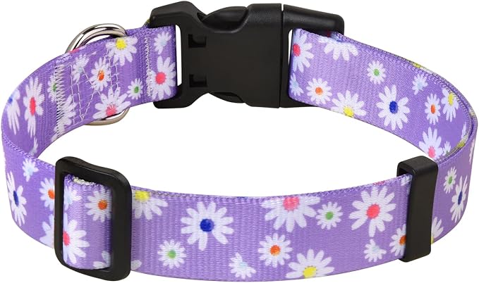 MarukoPet Dog Collar, Adjustable for Small Medium Large Dogs Puppy, Cute Design with Bohemia Floral Tribal Geometric Patterns Boys Girls Dog Collar(Purple Daisy-S)