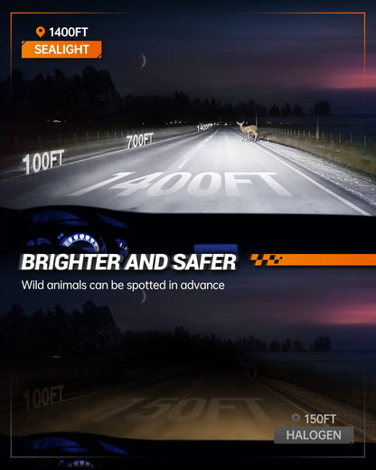 SEALIGHT 9006 HB4 Light Bulbs, 40000LM, 6500K White, 1:1 Size, Canbus Ready, Pack of 2