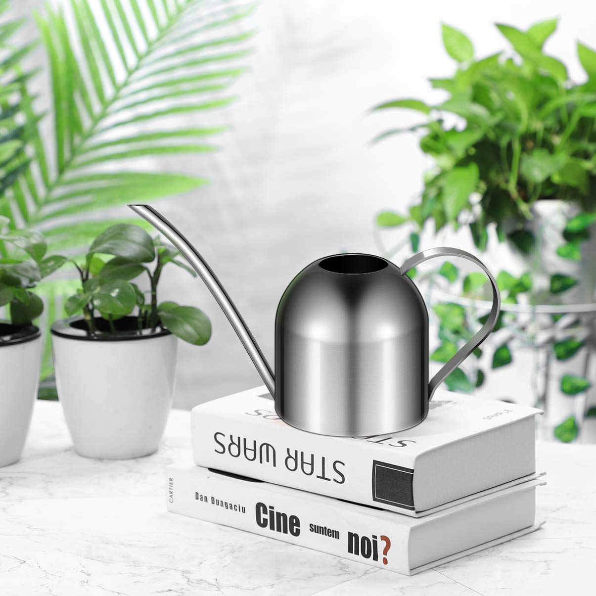 YARNOW 1000ml Stainless Steel Watering can with Long Spout for Indoor Plants, Succulents, and Garden Use (Silver)